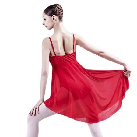 GRAND PRIX Swimsuit with skirt MESH Chicago MSLS10x