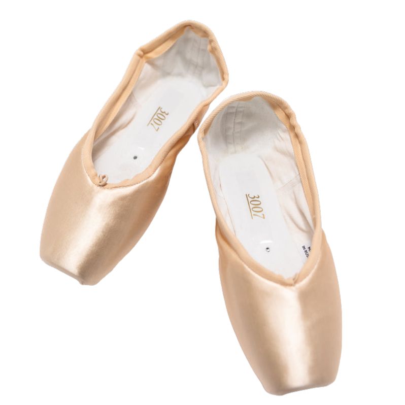 GRISHKO Pointe shoes 3007