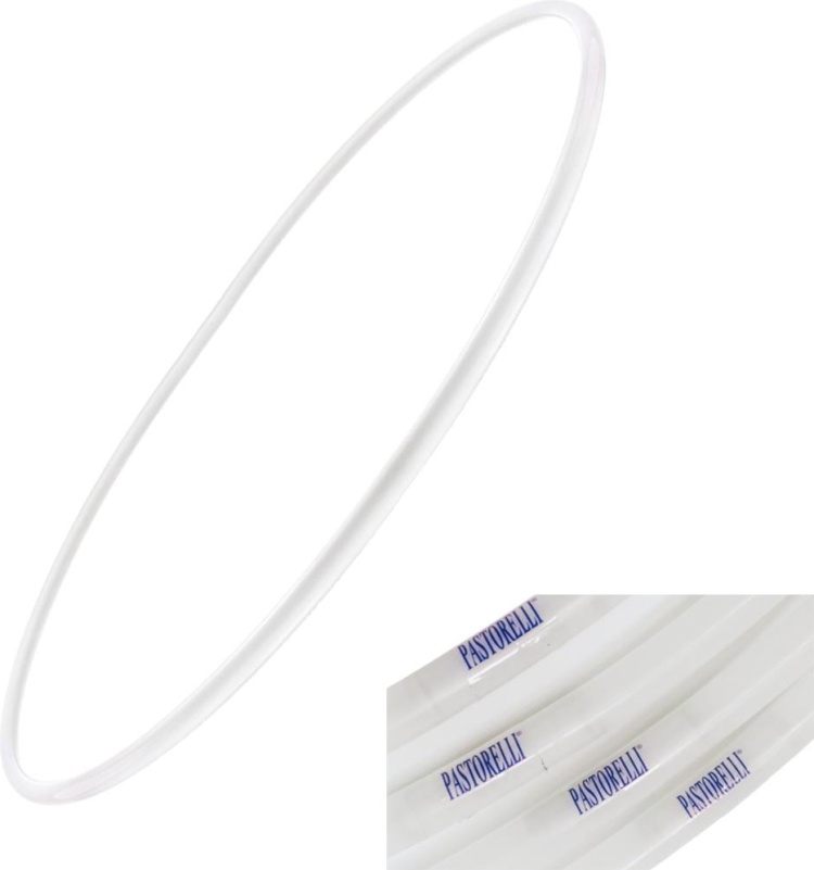 pastorelli text 3.jpg