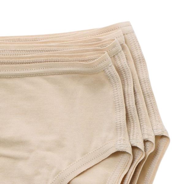 CHACOTT Shorts (High-leg cut) cotton 10274 0043-28